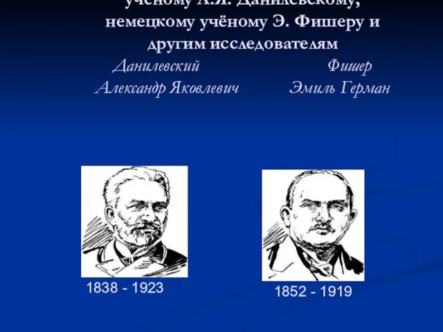 Большая роль в изучении строения белков принадлежит отечественному учёному А.Я. Данилевскому, немецкому