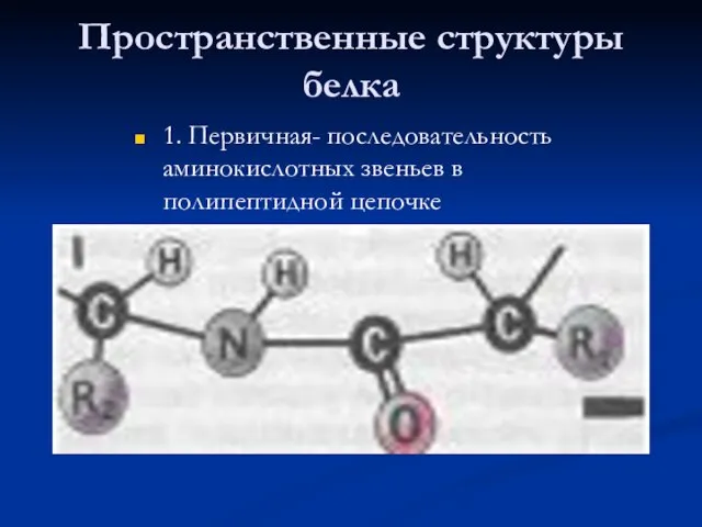 Пространственные структуры белка 1. Первичная- последовательность аминокислотных звеньев в полипептидной цепочке