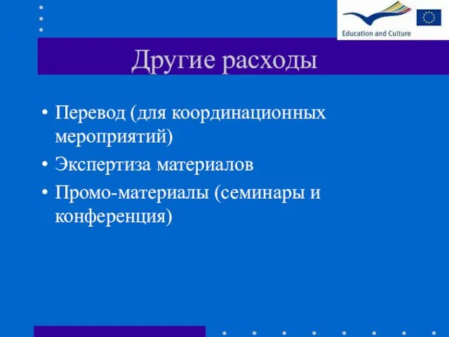 Другие расходы Перевод (для координационных мероприятий) Экспертиза материалов Промо-материалы (семинары и конференция)