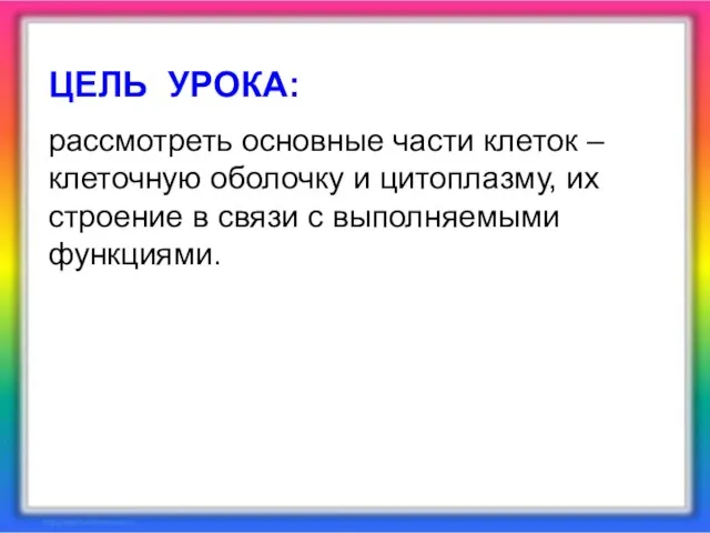 ЦЕЛЬ УРОКА: рассмотреть основные части клеток – клеточную оболочку и цитоплазму, их