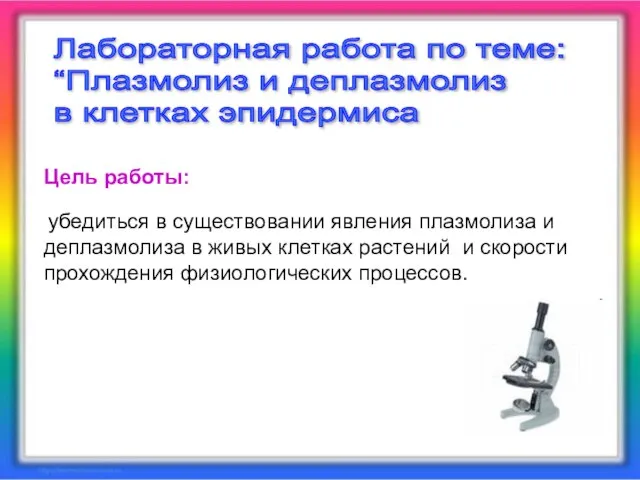 Цель работы: убедиться в существовании явления плазмолиза и деплазмолиза в живых клетках