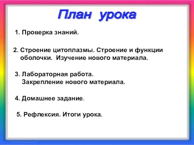 1. Проверка знаний. План урока 1. Проверка знаний. 2. Строение цитоплазмы. Строение