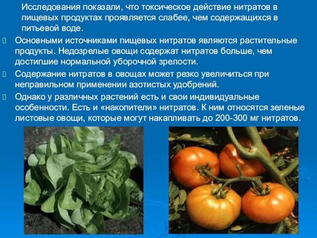 Исследования показали, что токсическое действие нитратов в пищевых продуктах проявляется слабее, чем