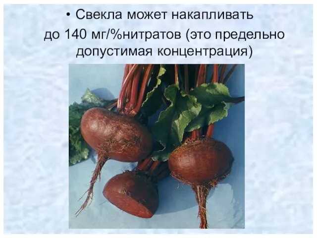 Свекла может накапливать до 140 мг/%нитратов (это предельно допустимая концентрация)