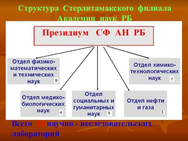 Структура Стерлитамакского филиала Академии наук РБ Всего 28 научно - исследовательских лабораторий