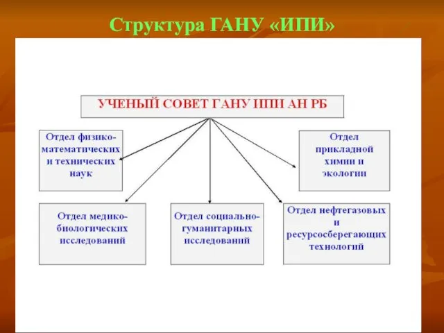 Структура ГАНУ «ИПИ»