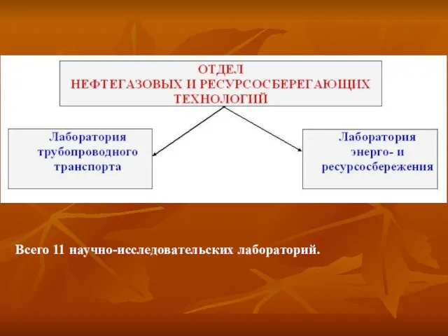 Всего 11 научно-исследовательских лабораторий.