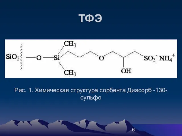 Рис. 1. Химическая структура сорбента Диасорб -130-сульфо ТФЭ