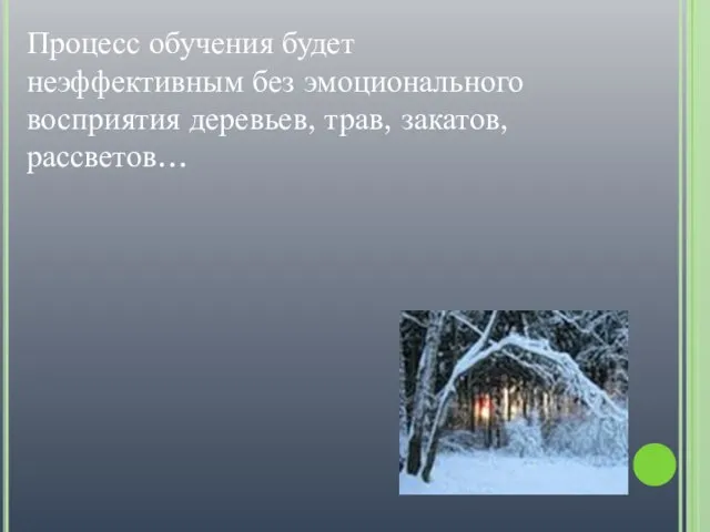 Процесс обучения будет неэффективным без эмоционального восприятия деревьев, трав, закатов, рассветов…