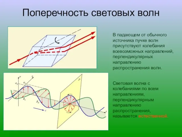 Поперечность световых волн В падающем от обычного источника пучке волн присутствуют колебания