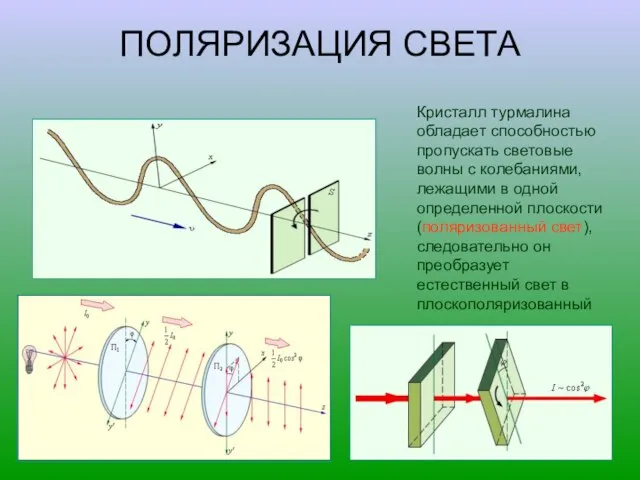 ПОЛЯРИЗАЦИЯ СВЕТА Кристалл турмалина обладает способностью пропускать световые волны с колебаниями, лежащими