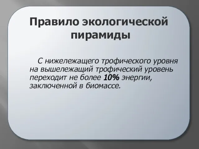 С нижележащего трофического уровня на вышележащий трофический уровень переходит не более 10%