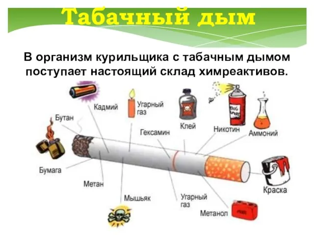 Табачный дым В организм курильщика с табачным дымом поступает настоящий склад химреактивов.