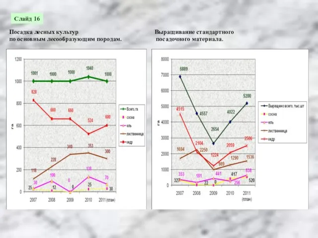 Посадка лесных культур по основным лесообразующим породам. Выращивание стандартного посадочного материала. Слайд 16