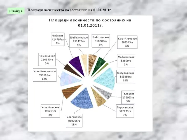 Площади лесничество по состоянию на 01.01.2011г. Слайд 4