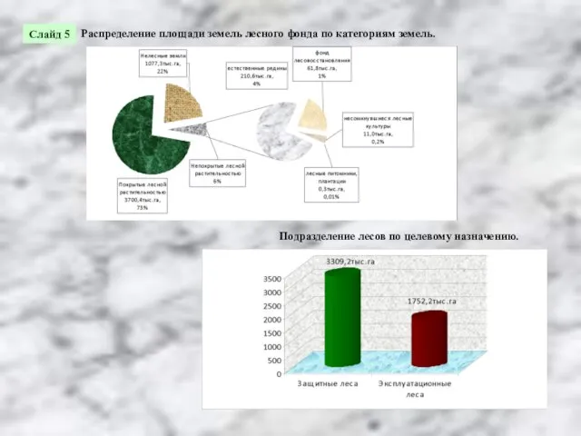 Распределение площади земель лесного фонда по категориям земель. Подразделение лесов по целевому назначению. Слайд 5