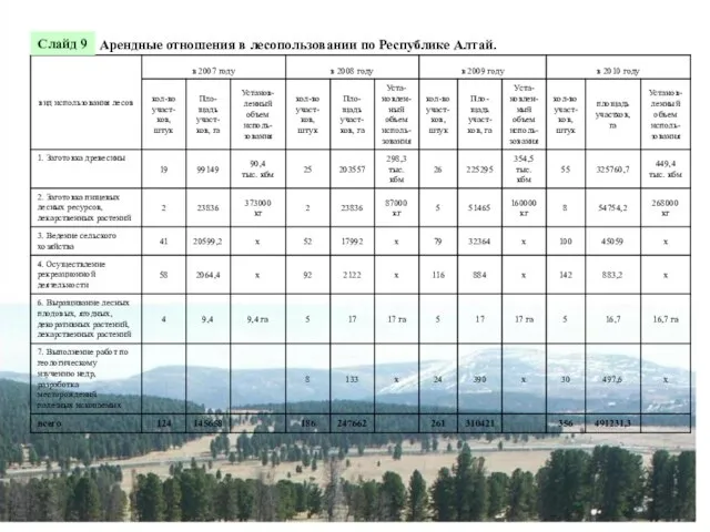 Арендные отношения в лесопользовании по Республике Алтай. Слайд 9