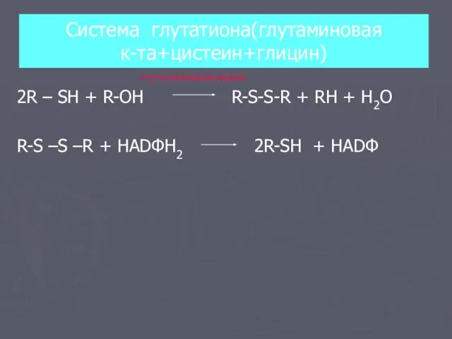 Система глутатиона(глутаминовая к-та+цистеин+глицин) 2R – SH + R-OH R-S-S-R + RH +