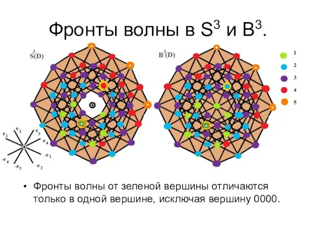 Фронты волны в S3 и B3. Фронты волны от зеленой вершины отличаются