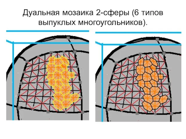 Дуальная мозаика 2-сферы (6 типов выпуклых многоугольников).