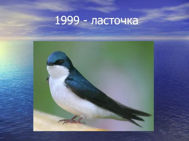 1999 - ласточка