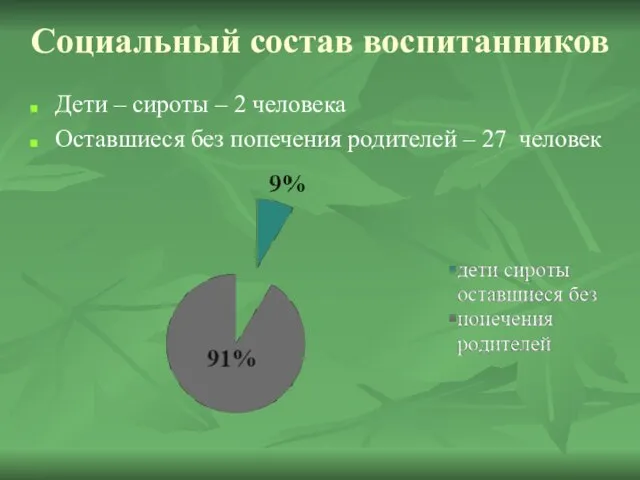 Социальный состав воспитанников Дети – сироты – 2 человека Оставшиеся без попечения родителей – 27 человек