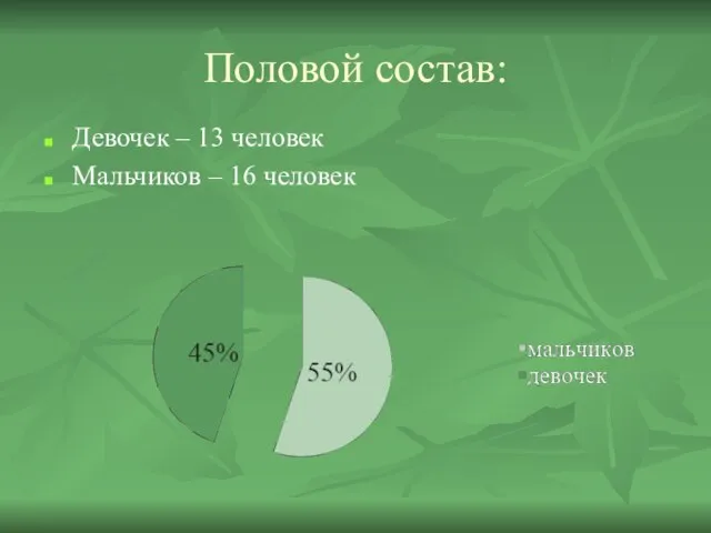 Половой состав: Девочек – 13 человек Мальчиков – 16 человек