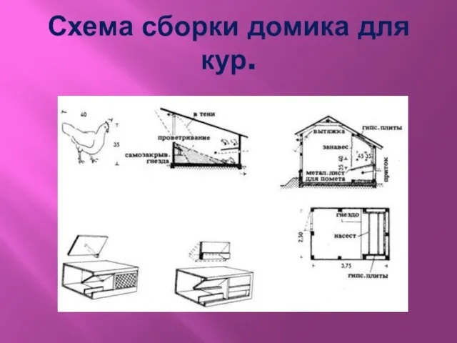 Схема сборки домика для кур.