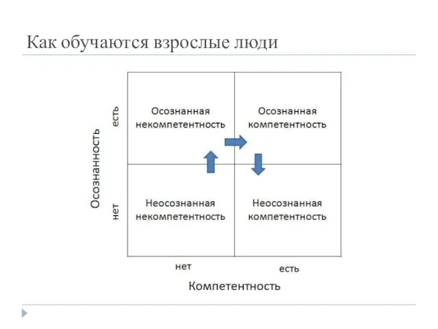 Как обучаются взрослые люди