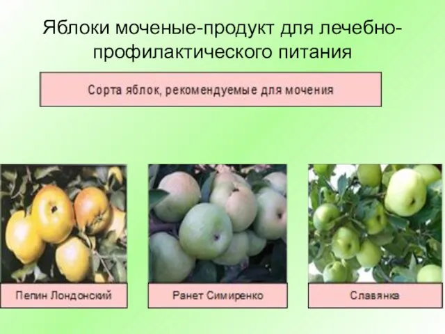 Яблоки моченые-продукт для лечебно-профилактического питания