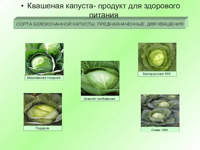 Квашеная капуста- продукт для здорового питания