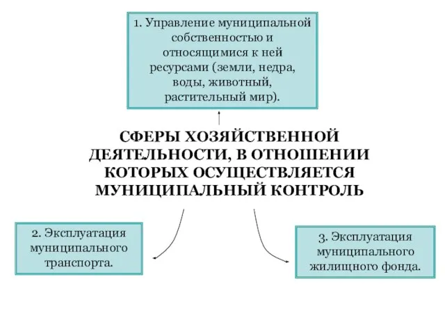 СФЕРЫ ХОЗЯЙСТВЕННОЙ ДЕЯТЕЛЬНОСТИ, В ОТНОШЕНИИ КОТОРЫХ ОСУЩЕСТВЛЯЕТСЯ МУНИЦИПАЛЬНЫЙ КОНТРОЛЬ 1. Управление муниципальной