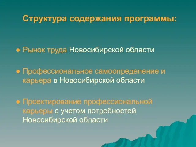Структура содержания программы: Рынок труда Новосибирской области Профессиональное самоопределение и карьера в
