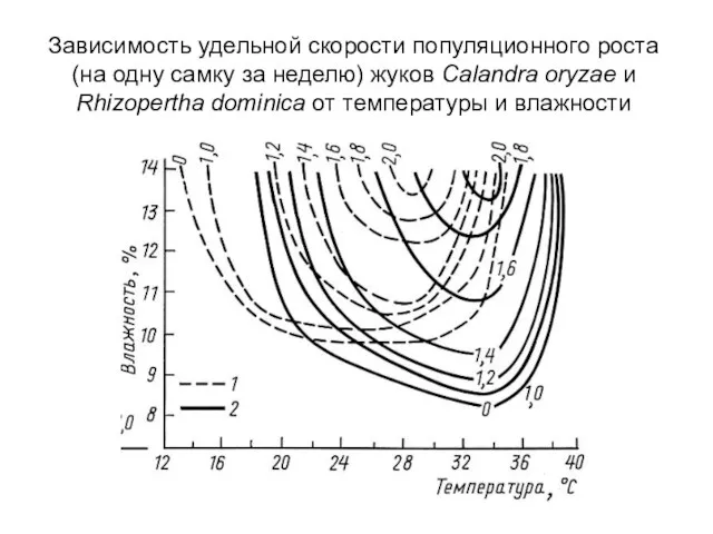 Зависимость удельной скорости популяционного роста (на одну самку за неделю) жуков Calandra