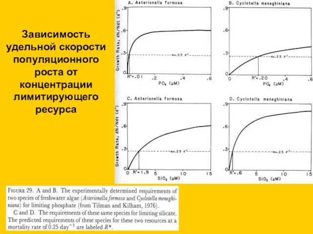 Зависимость удельной скорости популяционного роста от концентрации лимитирующего ресурса