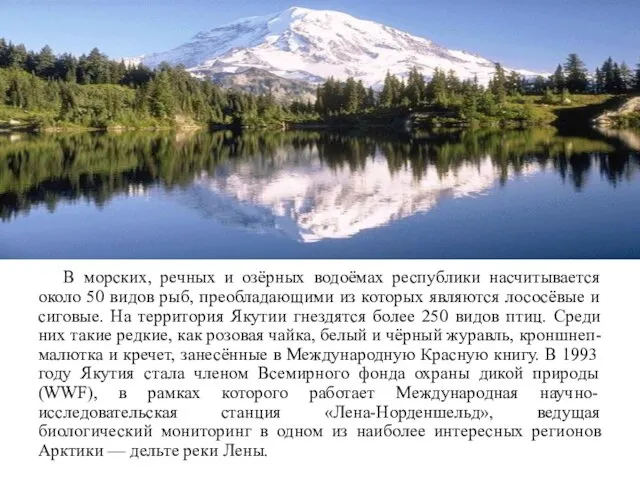 В морских, речных и озёрных водоёмах республики насчитывается около 50 видов рыб,