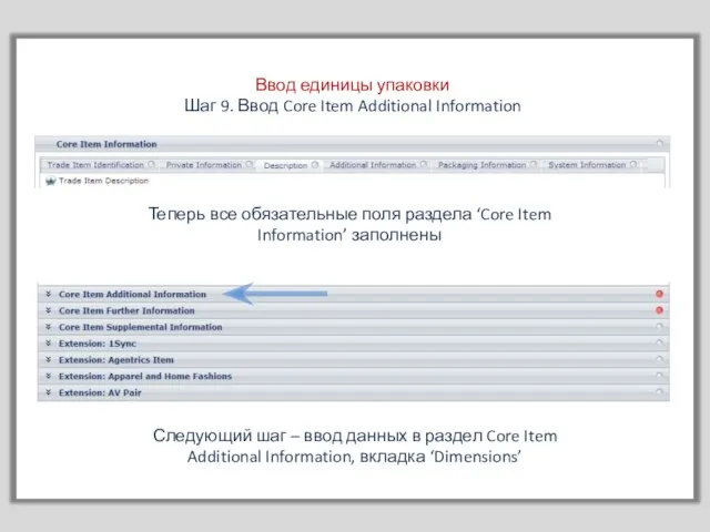 Ввод единицы упаковки Шаг 9. Ввод Core Item Additional Information Теперь все