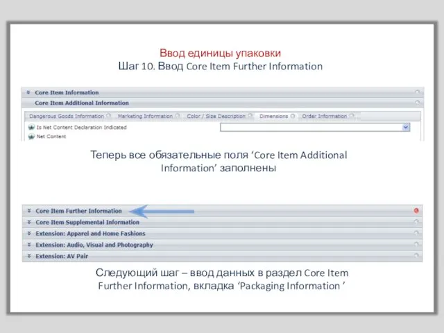 Ввод единицы упаковки Шаг 10. Ввод Core Item Further Information Теперь все