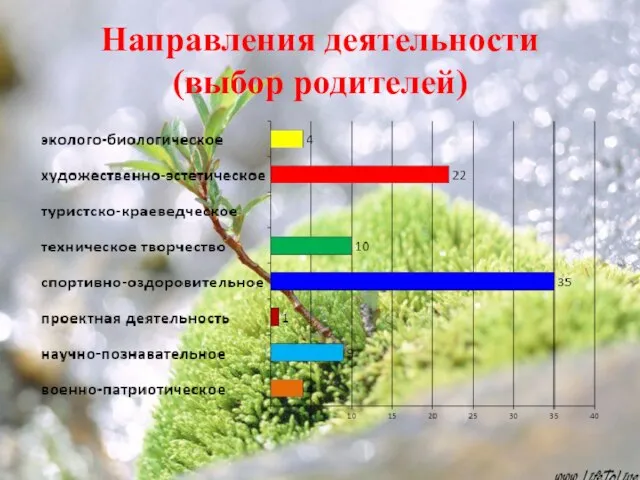 Направления деятельности (выбор родителей)