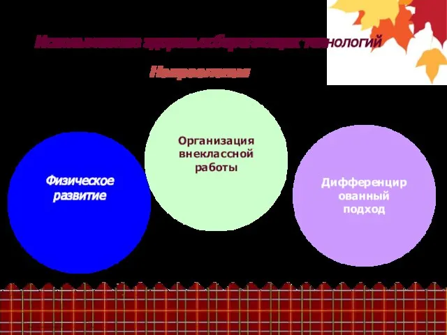 Направления Использование здоровьесберегающих технологий Физическое развитие Дифференцированный подход Организация внеклассной работы