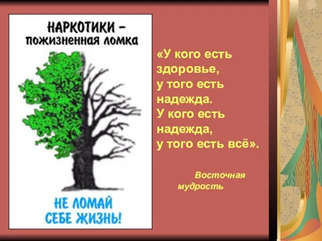 «У кого есть здоровье, у того есть надежда. У кого есть надежда,