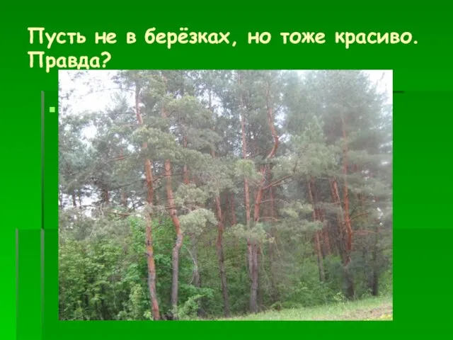 Пусть не в берёзках, но тоже красиво. Правда?