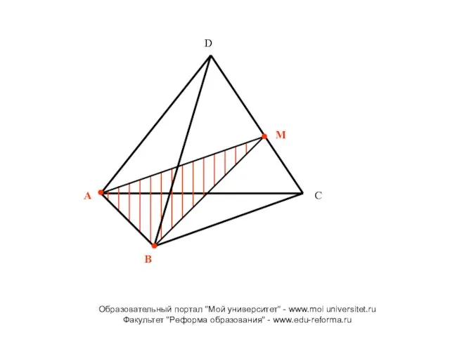 A B M D C Образовательный портал "Мой университет" - www.moi universitet.ru