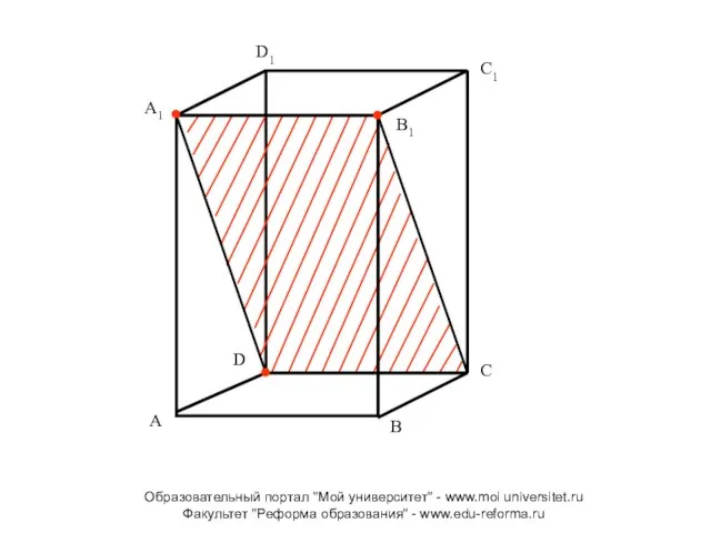 C D A1 B1 A B D1 C1 Образовательный портал "Мой университет"