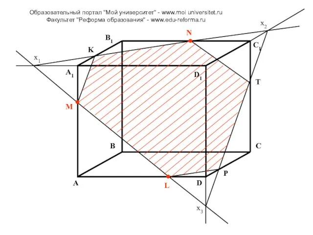 A A1 B B1 C C1 D D1 M N L x1