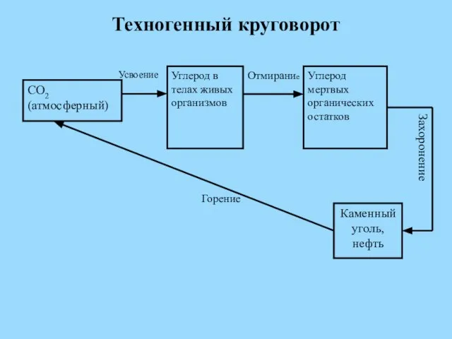 Техногенный круговорот