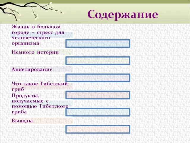 Содержание Жизнь в большом городе – стресс для человеческого организма Немного истории