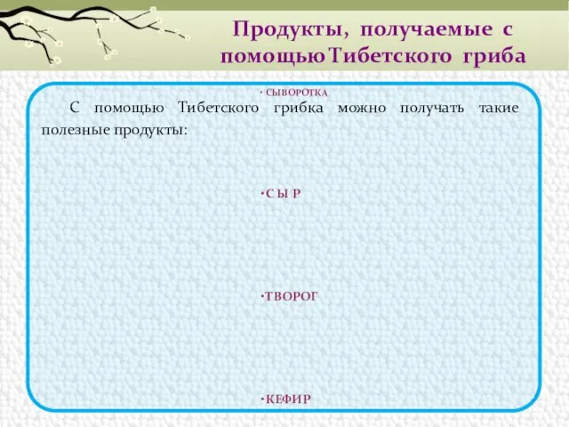 Продукты, получаемые с помощью Тибетского гриба С помощью Тибетского грибка можно получать