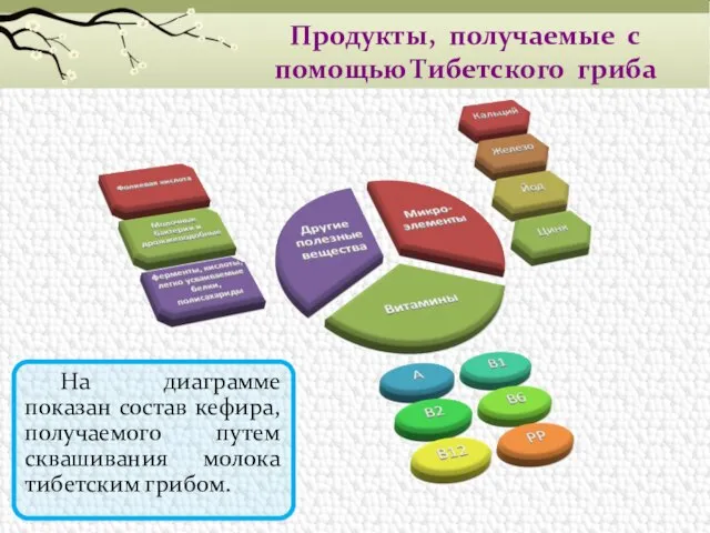 На диаграмме показан состав кефира, получаемого путем сквашивания молока тибетским грибом. Продукты,