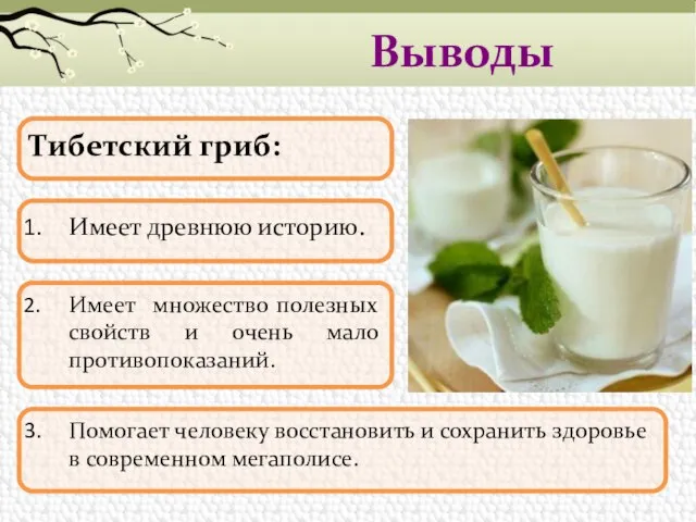 Выводы Тибетский гриб: Имеет древнюю историю. Помогает человеку восстановить и сохранить здоровье